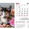 ПИРАМИДКА КОТЕТА - Рекламни календари 2026 6