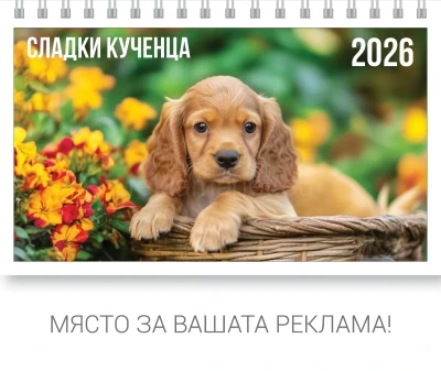 ПИРАМИДКА КУЧЕТА