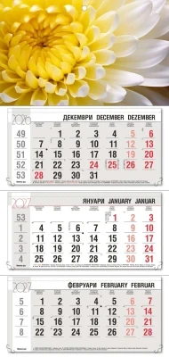Работен календар рк3 ива