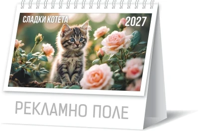 Пирамидка котета
